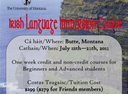 Friends of Irish Studies Offer Irish Language Immersion Course