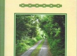 MOSTLY SHORT, MOSTLY TRUE STORIES FROM IRELAND by Jim Remington