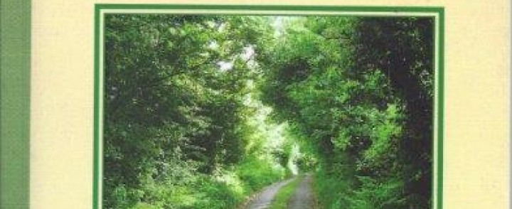 MOSTLY SHORT, MOSTLY TRUE STORIES FROM IRELAND by Jim Remington