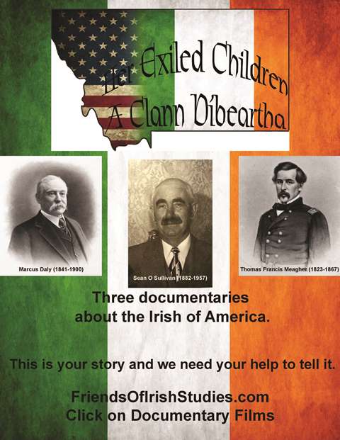 Support Irish Studies in America