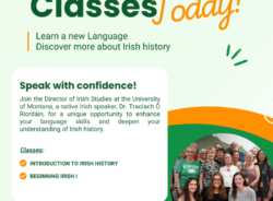 Learn Irish Language Online